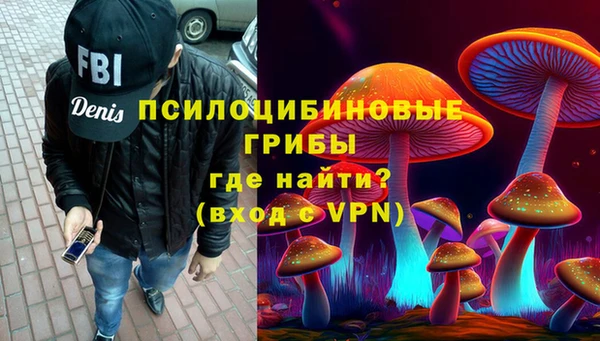 мет Дмитриев