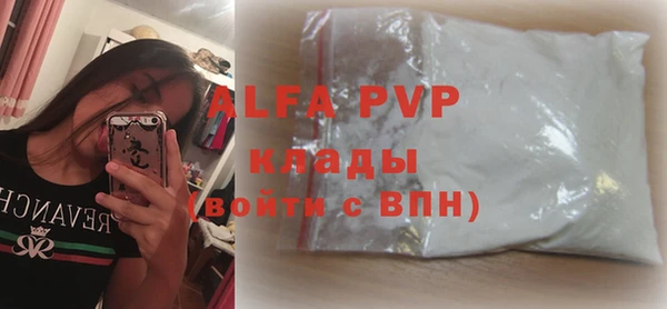 хмурый Щигры