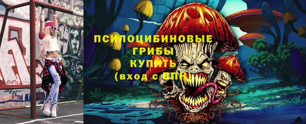 мет Дмитриев