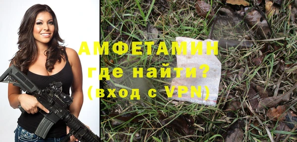 мет Дмитриев