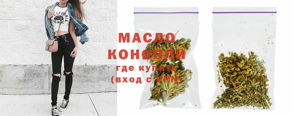 мет Дмитриев